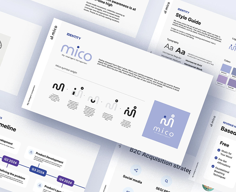 mico-product-development